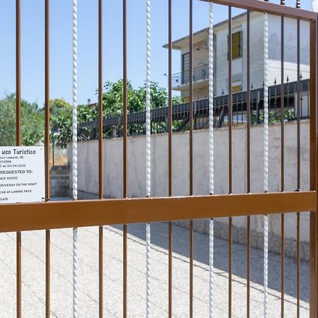 Luciano Relax Apartment Рим Екстериор снимка